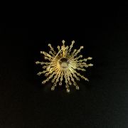Gold Pearl Sunburst Brooch